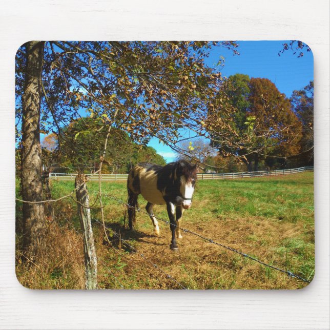 Målad häst, musmatta (Framsidan)