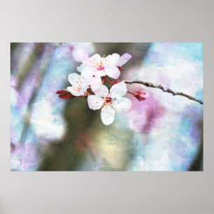 Målad körsbärsröd blommar poster
