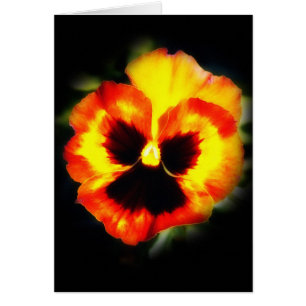 Målad Pansy Hälsningskort