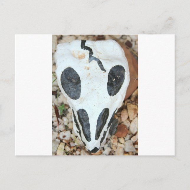 målad skalle vykort (Framsida)