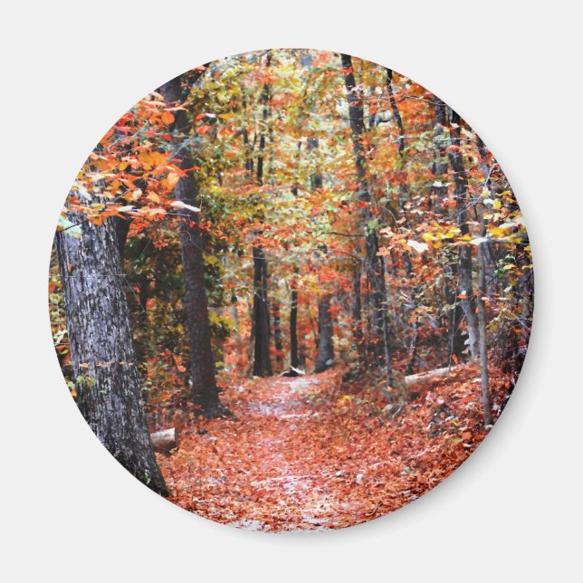 Målad Skog Höststig Vattenfärg Gåvor Magnet (Framsidan)