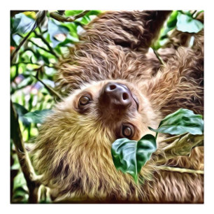 målad Sloth Fototryck