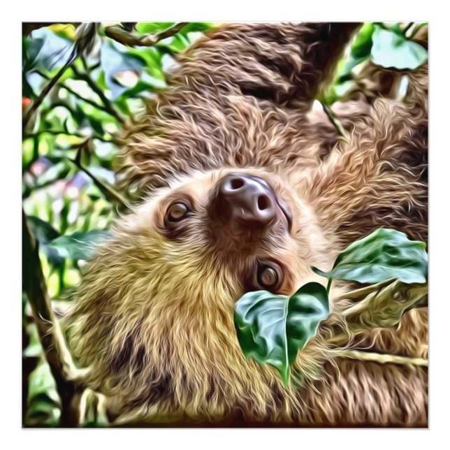 målad Sloth Fototryck (Framsidan)