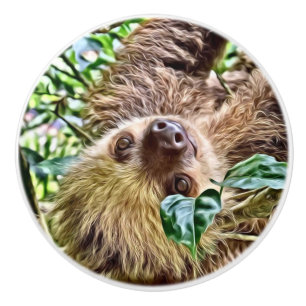 målad Sloth Knopp