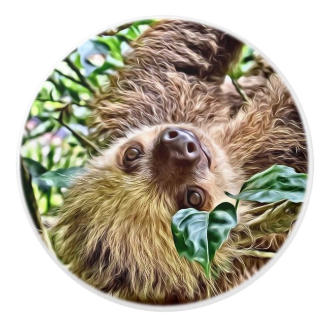 målad Sloth Knopp (Framsidan)