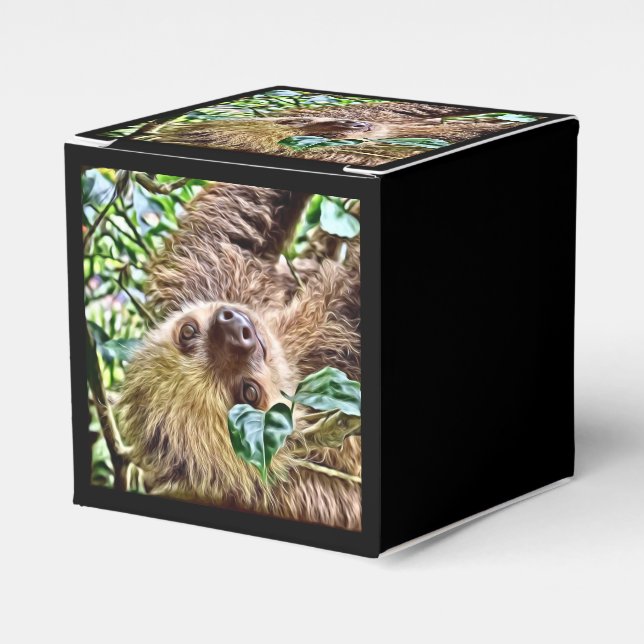 målad Sloth Presentaskar (Framsidan Sidan)