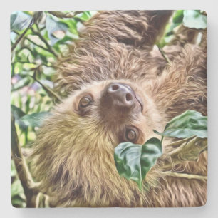 målad Sloth Underlägg Sten