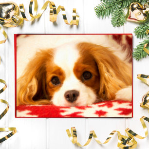 Målad snöflinga söt King Charles Spaniel-kort Helgkort