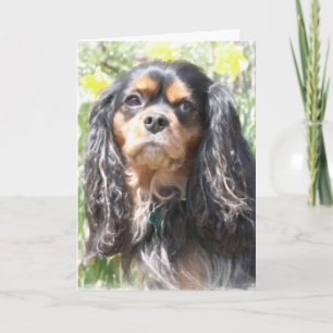 Målad stolt Spaniel för kung Charles Kort