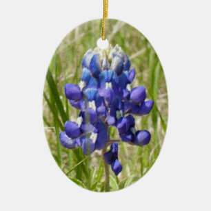 Målad Texas Bluebonnetprydnad Julgransprydnad Keramik