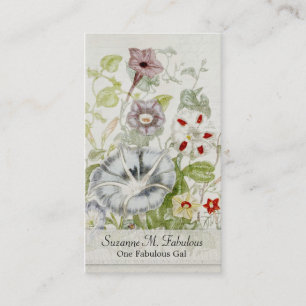 Målad vintage för den Convelvulus blommabuketten Visitkort