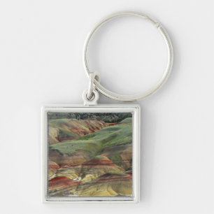 Målade kullar, John Day Fossil Beds, Mitchell Fyrkantig Silverfärgad Nyckelring