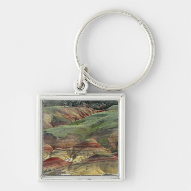 Målade kullar, John Day Fossil Beds, Mitchell Fyrkantig Silverfärgad Nyckelring (Framsidan)