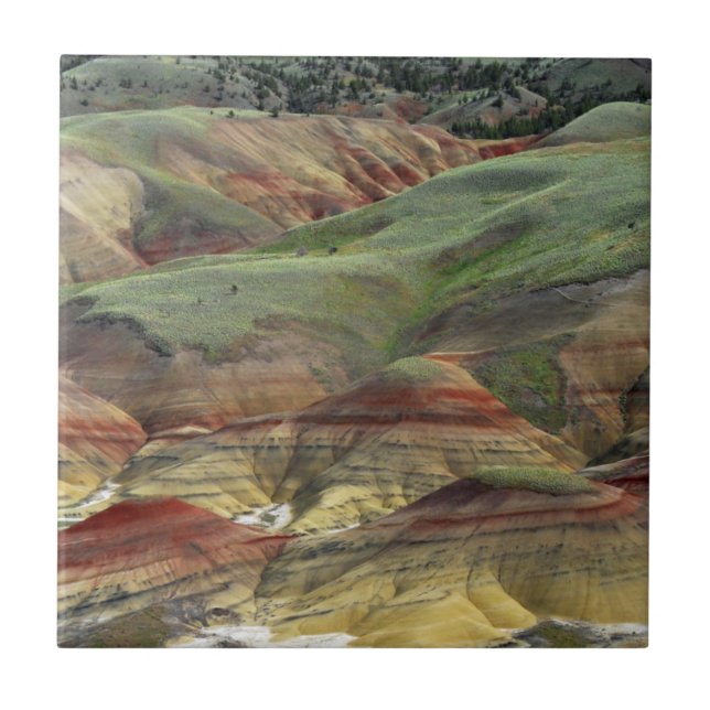 Målade kullar, John Day Fossil Beds, Mitchell Kakelplatta (Framsidan)
