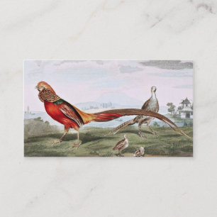 Målade Pheasants Visitkort