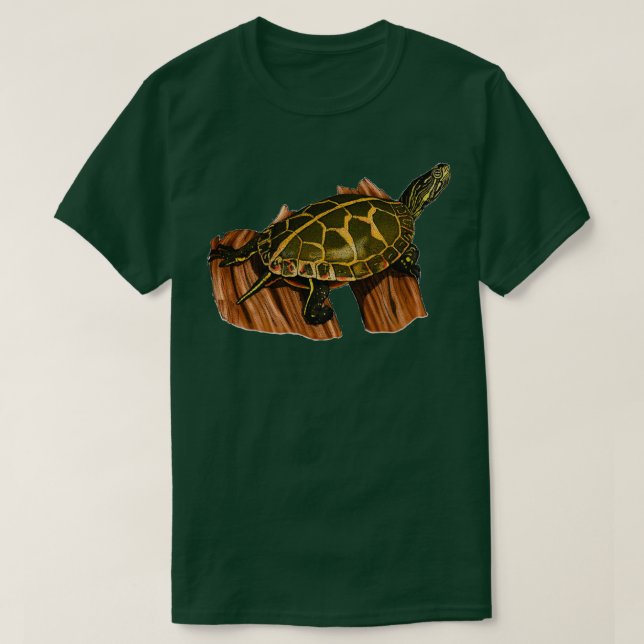 Målade Turtle Turtle Turtle Gift Turtle Dr. T Shirt (Design framsida)