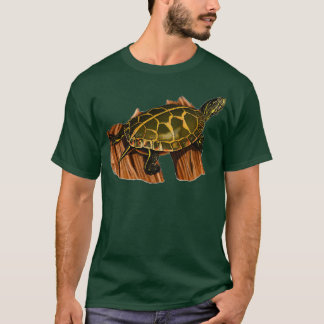 Målade Turtle Turtle Turtle Gift Turtle Dr. T Shirt