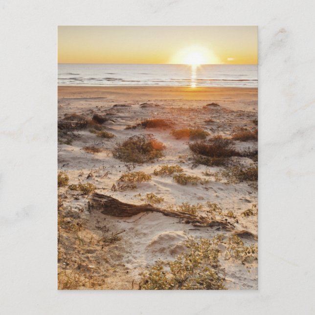 Malaganska Beach Sand Dunes Vykort (Framsida)