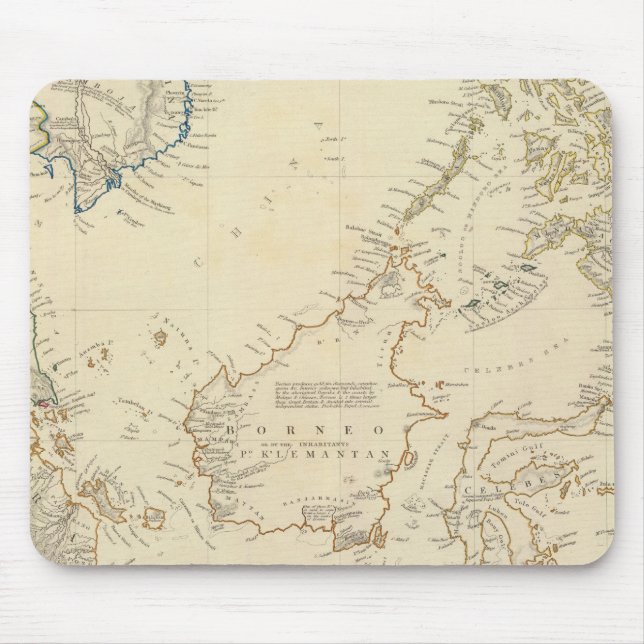 Malajisk arkipelagiska musmatta (Framsidan)