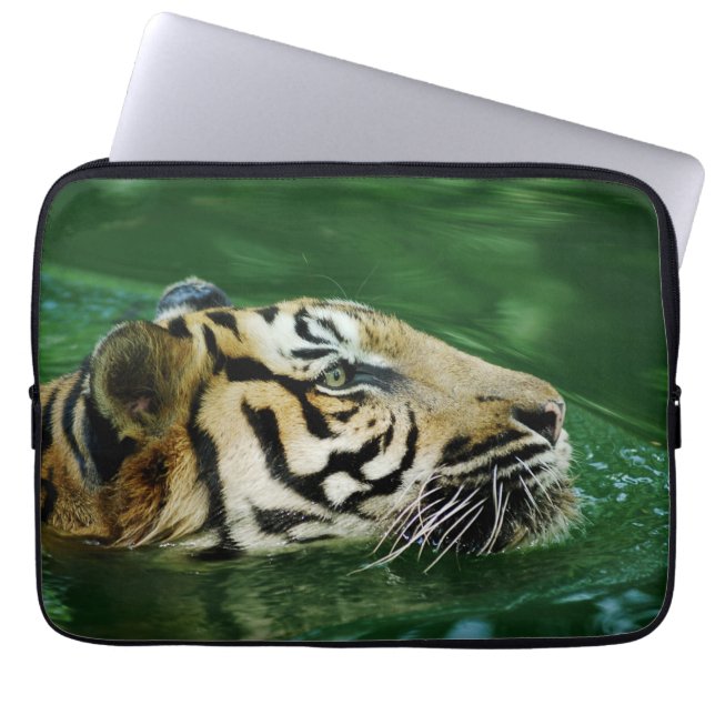 Malajisk tiger simmande närbild laptop fodral (Framsidan)