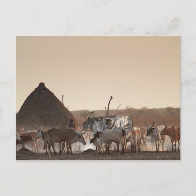 Malakal, byn Dinka etnisk grupp Vykort (Framsida)