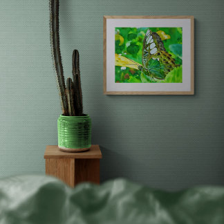 Malakitfjäril på grön blad fototryck
