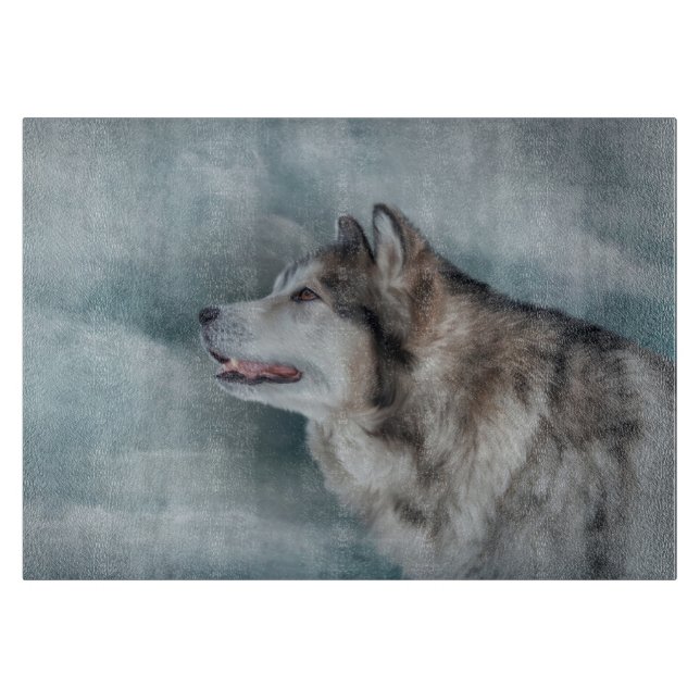 Malamet Teckning Hund Alaska (Framsidan)