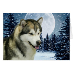Malamute Hälsningskort