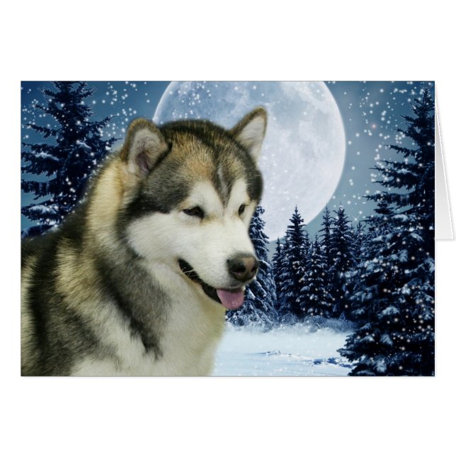 Malamute Hälsningskort (Framsidan Horizontal)