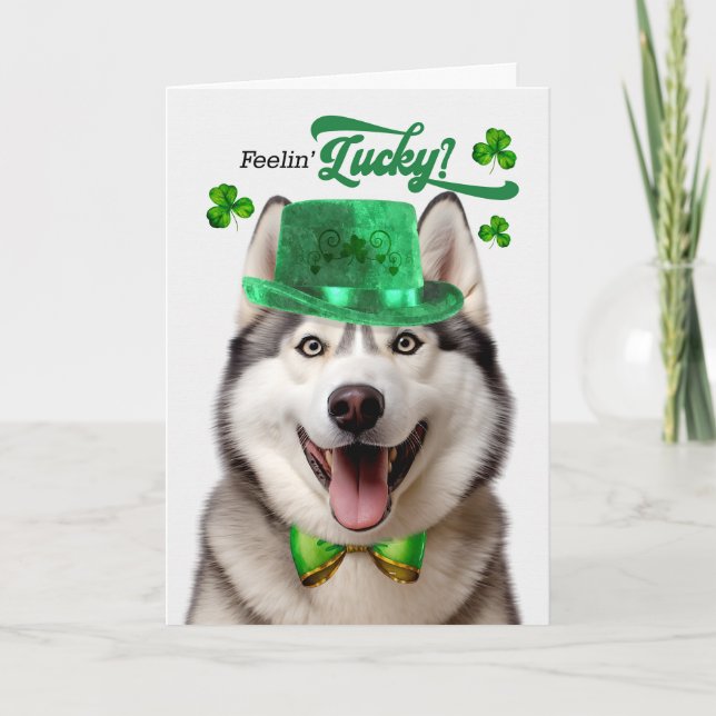 Malamute Hund Feelin' Lucky St patrick's day Helgkort (Framsida)