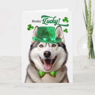 Malamute Hund Feelin' Lucky St patrick's day Helgkort