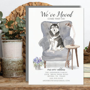 Malamute Hund   Meddelande om Flytta