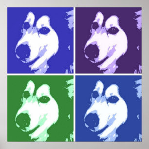 Malamute Hund Poster