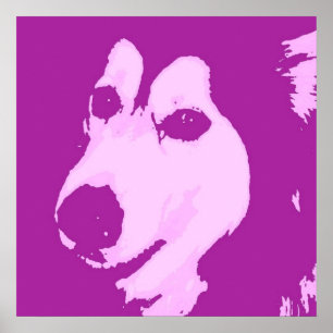 Malamute Hund Poster