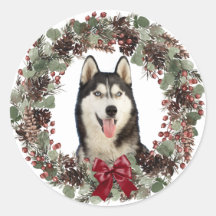 Malamute Hund Red Bow Pinecone God Jul