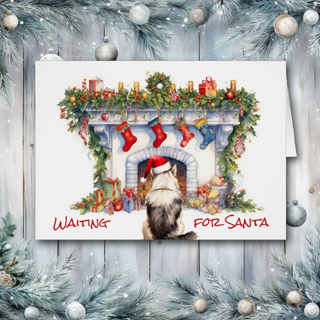 Malamute Hund Vänta på julfierten Hälsningskort (Skapare uppladdad)