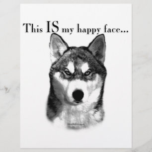 Malamute Lycklig Ansikte