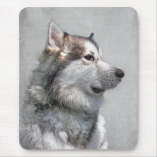 Malamute Musmatta