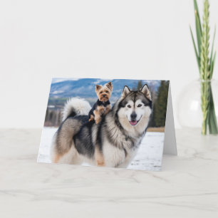 Malamute och Yorkie Card Kort