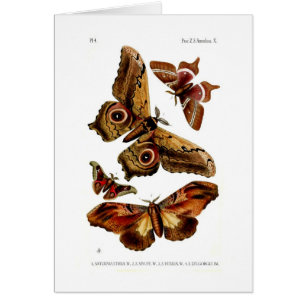 Malar Hälsningskort