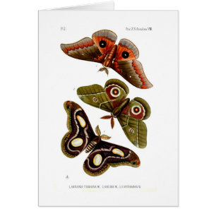 Malar Hälsningskort