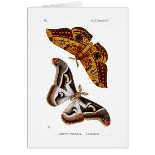 Malar Hälsningskort