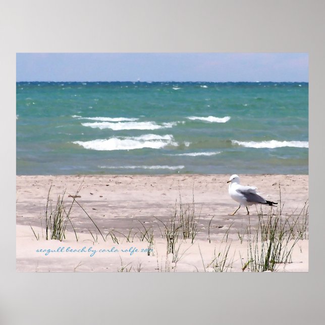Målarmotiv med mås på stranden poster (Framsidan)