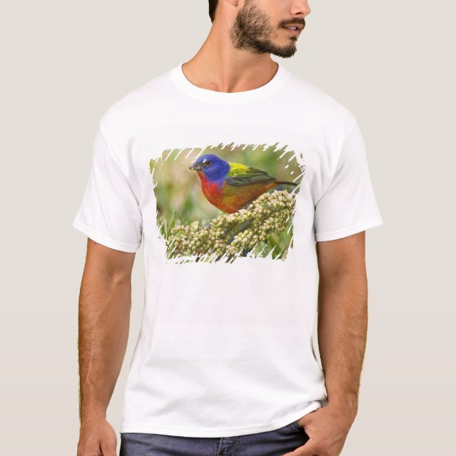 Målartangara Tee Shirt (Framsida)