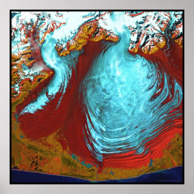 Malaspina Glacier Alaska Poster (Framsidan)