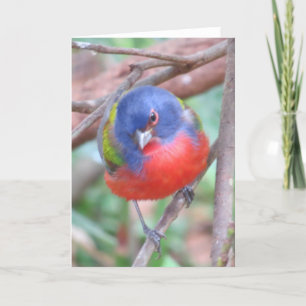 Målat Bunting Greeting Card Kort
