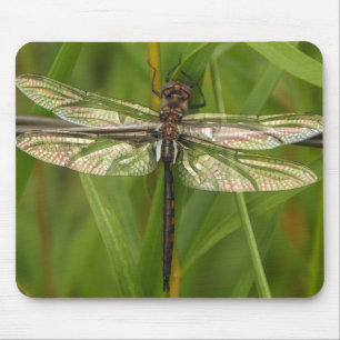 Målat glass påskyndar sländan Mousepad Musmatta