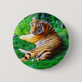Målat Lounging Tiger Wildlife Pinback Knapp