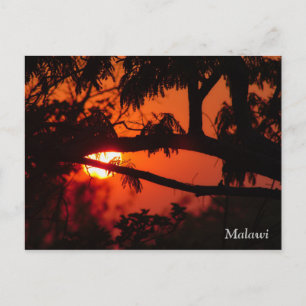 Malawi, afrikansk solnedgång vykort