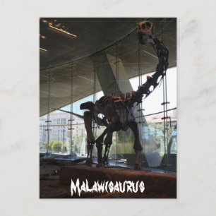 Malawisaurus Vykort